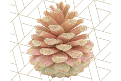 Fall Foliage Clipart PNG, Pink and Green Leaves Product Image 5