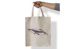 Cute Humpback Whale Marine Mammal PNG Summer Product Image 7