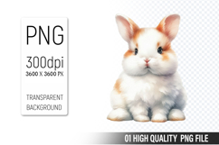 Cute Bunny Clipart PNG, Printable Animals, Wildlife Design Product Image 1