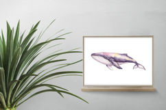 Cute Humpback Whale Marine Mammal PNG Summer Product Image 2