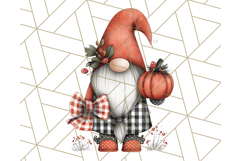 Thanksgiving Gnome Clipart PNG Cute Fall Gnomes, Gnome Png Product Image 5