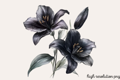 Gothic Pagan Spring Sublimation Clipart PNG Product Image 1