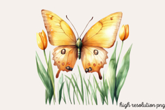 Pastel Easter Butterflies Clipart Bundle PNG Product Image 10