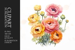 Watercolor ranunculus flower sublimation clipart Product Image 1