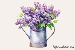 Lilac Flower Watercolor Cliparts PNG Product Image 1