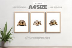Animal Wall Art - 03 Variations Product Image 1