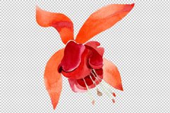 Orange Fuchsia Watercolor png Product Image 11