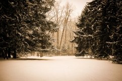230 Winter Lightroom Presets Product Image 5