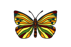 Hand drawn colorful butterfly isolated on white background Product Image 1
