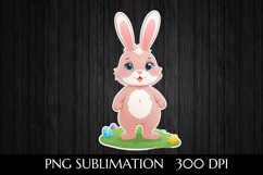 Charming Easter Bunny Product Image 1