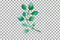 Faded orange and blush flowers and green leaves watercolor Product Image 20