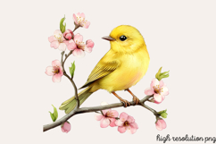 Soft Spring Clipart PNG Product Image 1