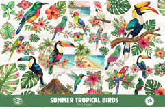 Summer Tropical Birds Clipart Product Image 1