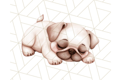 Pug Clipart PNG, Cute Dog Art, Funny Puppy Illustration Png Product Image 2