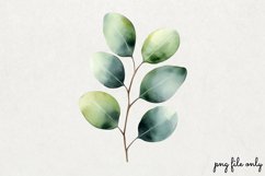 Wild flowers butterflies and dragonfly Clipart PNG Product Image 1
