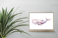 Cute Sperm Whale Deep Sea Animal PNG Summer Product Image 2