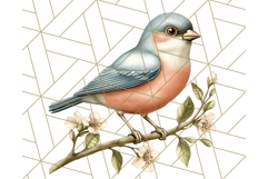 Vintage Song Bird Clipart PNG, Botanical Bird Art Clip Art Product Image 2