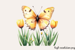 Pastel Easter Butterflies Clipart PNG Product Image 1