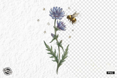 1920 Botanical Summer Wildflowers Clipart Product Image 1