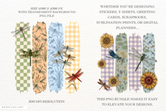 Summer Drangoly Brushstrokes Clipart Product Image 2