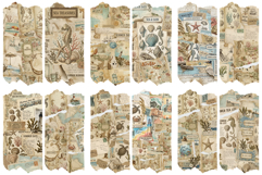 Ephemera Nautical Brushstrokes Clipart Product Image 7