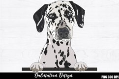 Dalmatian Sublimation, Dalmatian PNG design Product Image 1