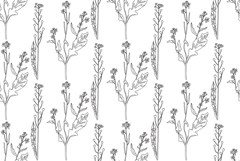 Line art botanical plants floral seamless pattern vector Product Image 1