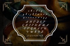 Web Font Orange Brandy Product Image 2