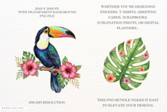Summer Tropical Birds Clipart Product Image 2