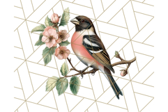 Vintage Song Bird Clipart PNG, Botanical Bird Art Clip Art Product Image 3