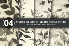 Vintage Botanical Sketch Digital Paper Product Image 1