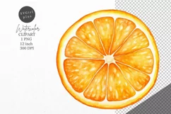Christmas clipart, Orange slices, Winter clipart Product Image 1