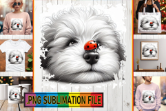 Sweet TSHIRT Designs PNG, Cute Animals Product Image 1