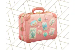 Coral and Aqua Summer Clipart PNG Pastel Tropical Icons Product Image 3