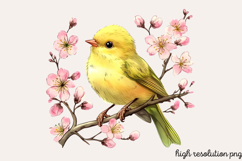 Soft Spring Clipart PNG Product Image 1