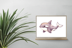 Cute Orca Whale Marine Mammal PNG Summer Sea Animal Aquatic Product Image 2
