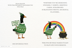 St Patricks Day Goose Clipart Product Image 2