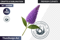Flower Clipart PNG, Botanical Illustration Floral graphic Product Image 1
