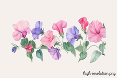 Sweet Pea Flower Watercolor Clipart PNG Product Image 1