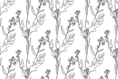 Line art botanical plants floral seamless pattern vector Product Image 1