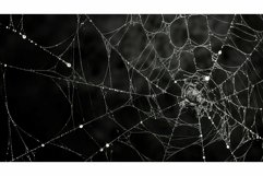 seamless web texture background Product Image 1