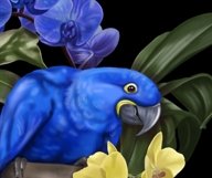 Hyacinth macaw Parrot, Watercolor bouquet clipart Product Image 2