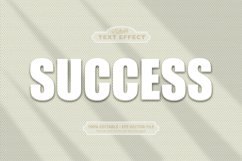 Editable text effect, Success text Product Image 1