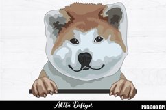 Akita Sublimation, Akita PNG desig Product Image 1