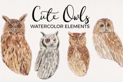 Cute Owls Clipart Watercolor Elements Hand Painted Bird Product Image 1