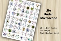Digital Collage Sheet - Life Under Microscope Product Image 2