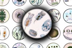 Digital Collage Sheet - Life Under Microscope Product Image 1