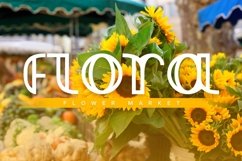 Web Font Jasmine Product Image 2