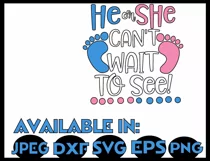 Baby SVG DXF JPEG Silhouette Cameo Cricut Gender reveal svg Product Image 3