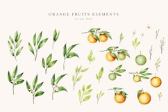 WATERCOLOR ORANGE FRUITS ELEMENTS Product Image 2